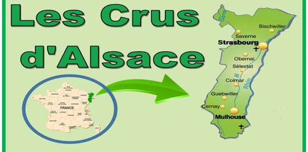 Les crus d'Alsace
