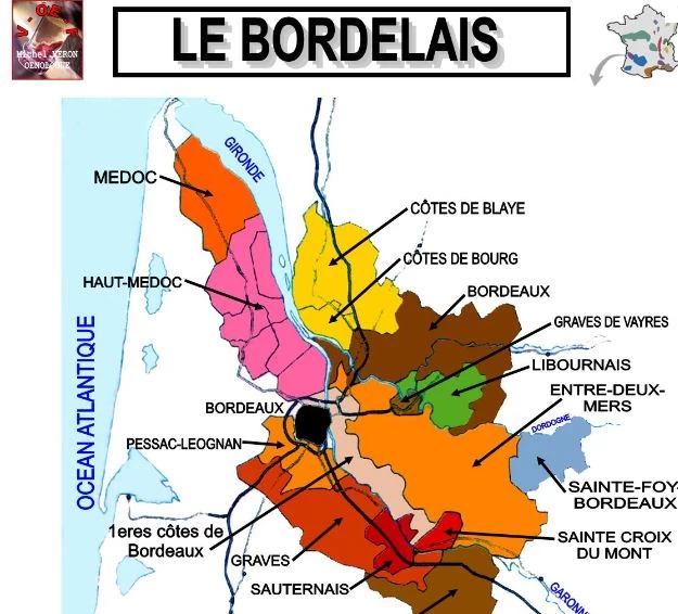 Autour du cépage Merlot..._4