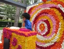 Fête des fleurs 2016_3